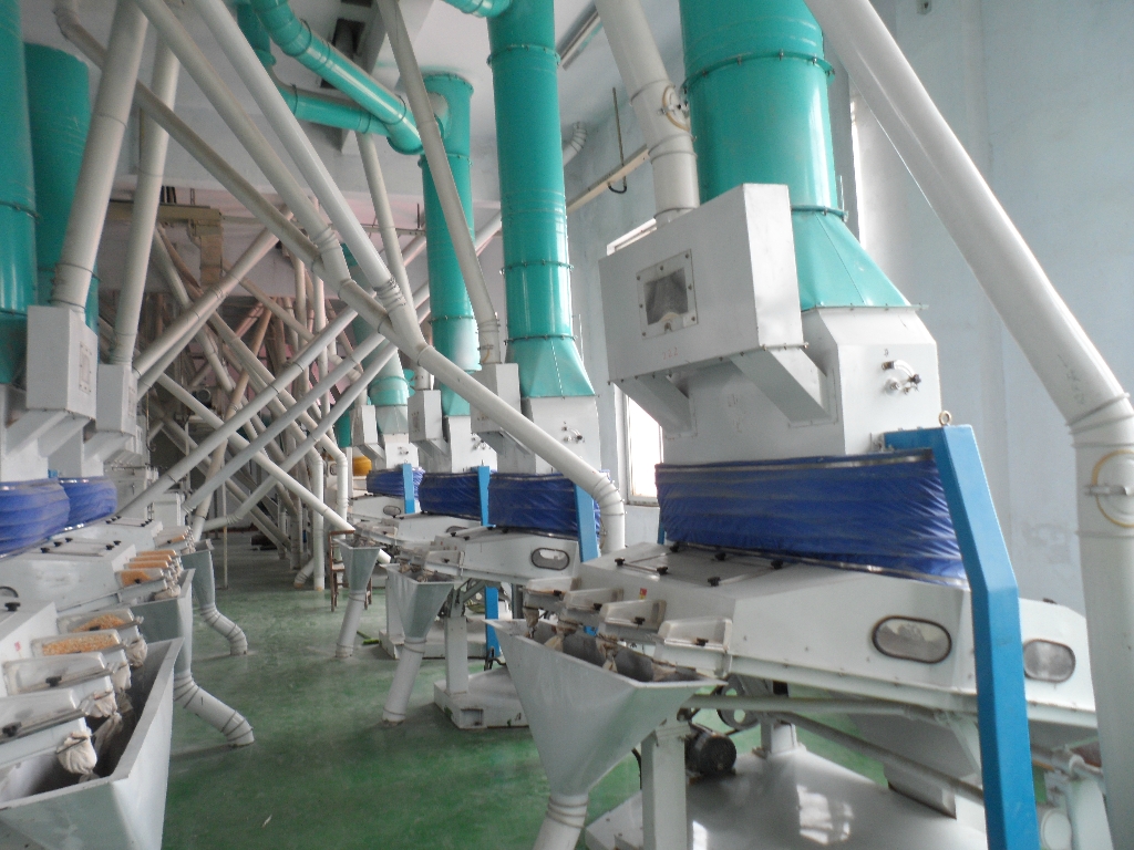 玉米加工機(jī)械為什么要脫胚？