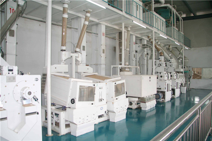 市場需求對玉米加工成品的質量要求(圖2) 玉米深加工機械